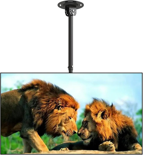 Ceiling wall mount fits - ceiling,